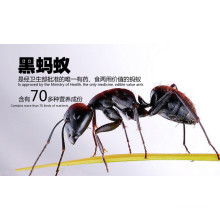 100% Pure Natural Black Ants Powder Not Extract